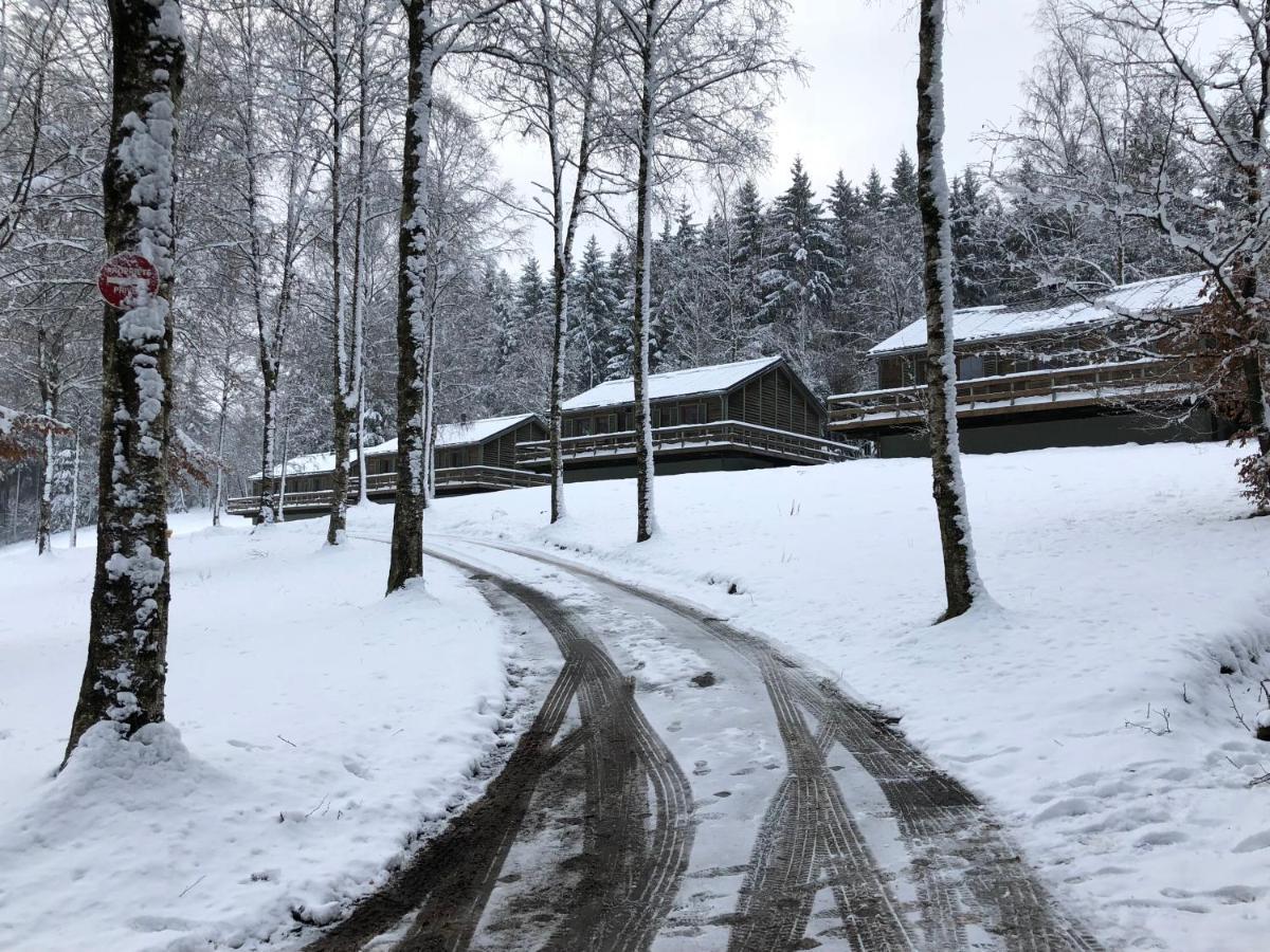 Chalet De Charme, Le "Caribou Lodge", Eifel Belge 불랑쥬 외부 사진